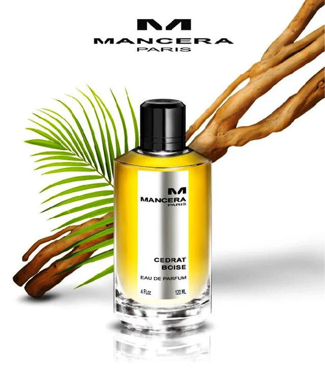 MCR  Paris Intense Cedrat Boise EDP 120ml