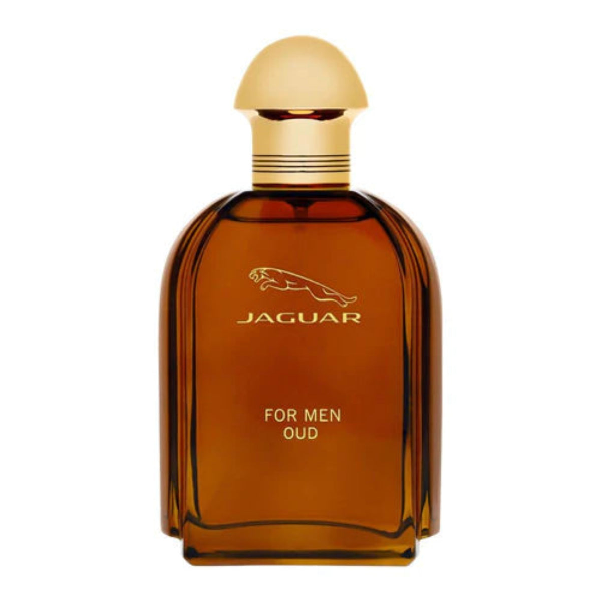 Jaguar Oud EDP 100ml 
